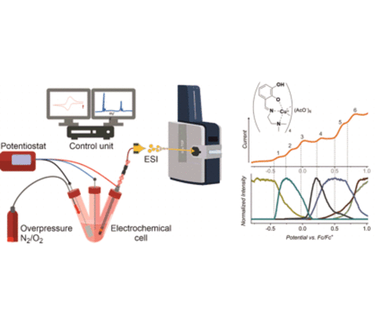 Mass spectrometry in electrocatalysis research
