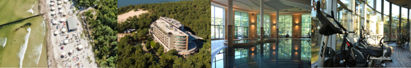 Frontiers of Multiscale Modelling inMaterials, Energy & Catalysis VIII Frontiers of Multiscale Modelling inMaterials, Energy & Catalysis VIII