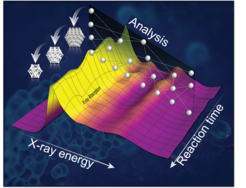 Dr. Timoshenko developed novel approaches of the analysis of X-ray absorption spectroscopy data.