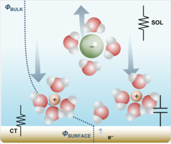 Depiction of the complexity of the electrochemical interface showing the interaction of cations and anions with the surface, consequent capacitive and resistive components, and an electron transfer step.