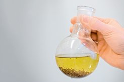 At the right, you can a hand holding a round glass flask. The flask contains a yellowish liquid and a brownish coarse-grained powder that has settled at the bottom.
