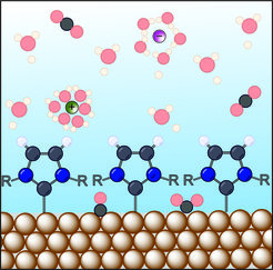 Metal-organic interface interacting with different species of the electrolyte.