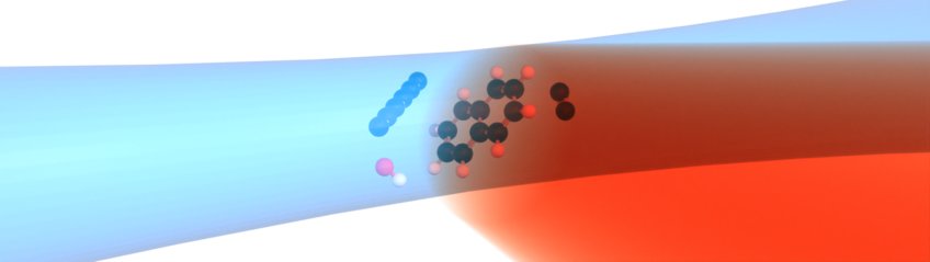 Radiative Cooling Dynamics of Molecules(Otto Hahn Group)