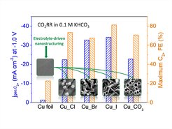 Total Faradaic efficiency and geometric partial current density of C2+ products obtained on Cu foil modified via electrolyte-induced nanostructuring. SEM images of the catalysts prior to the reaction are shown in insets.