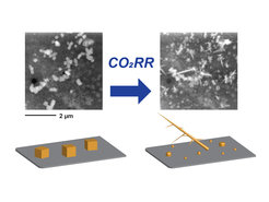 A copper catalyst (Cu cubes) as it changes under reaction conditions during electrochemical reduction of CO2.