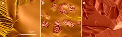 Scanning electron microscopy (SEM) images showing different surface states. Source: Original Publication (see left colum on page).