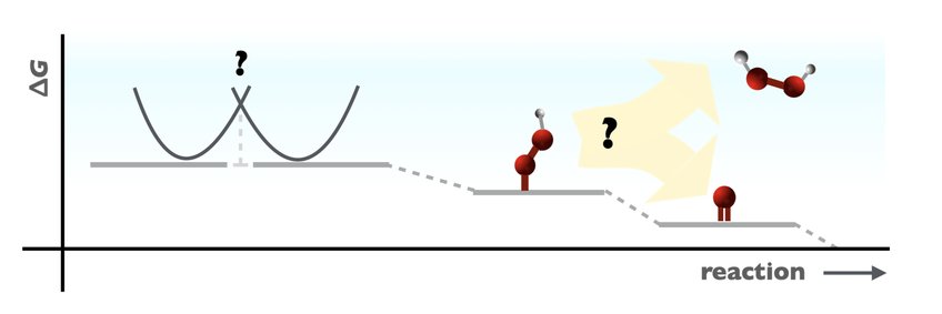 Selectivity in Catalysis