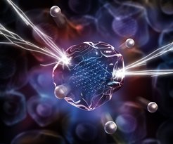 Nano-scale complexion suppresses dendrite nucleation in solid state electrolyte.