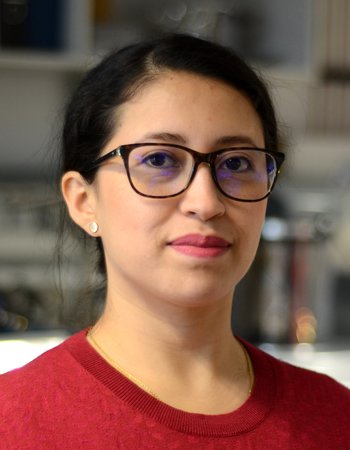 Liseth Johana Duarte Correa