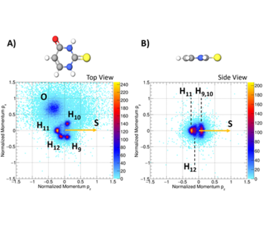 Watching Femtosecond Molecular Dynamics using Synchrotrons and X-Ray Free-Electron Lasers 